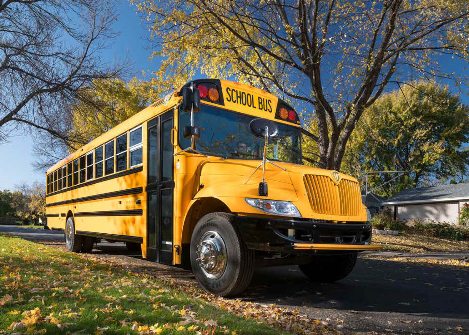 Bus Safety